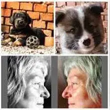 vom Hause Luka cover