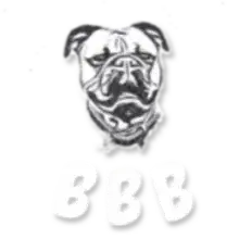 BBB BACHGAU-B-BLÜMELS cover