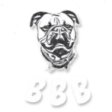BBB BACHGAU-B-BLÜMELS cover