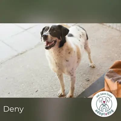 Deny