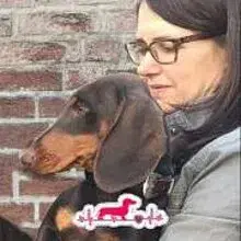 aus der Lewermang cover