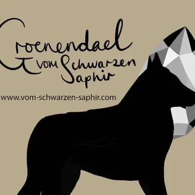 Vom Schwarzen Saphir cover