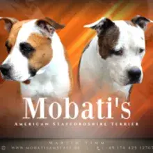 Mobati's cover