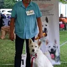 Home of White Alsatian cover