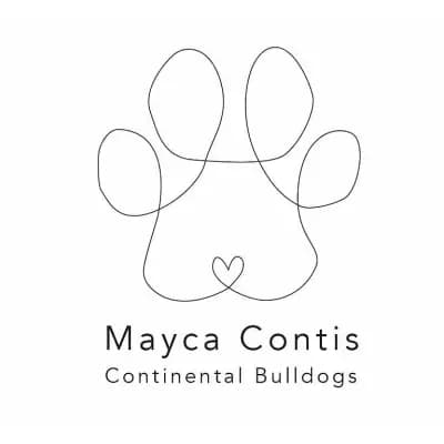 Mayca Contis cover
