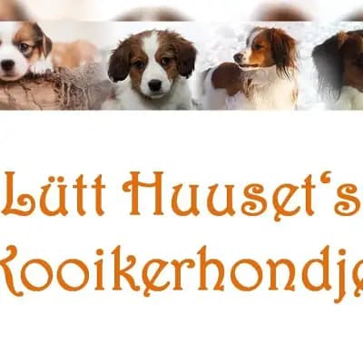 Lütt Huuset’s cover