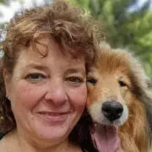 vom Lambertztal cover