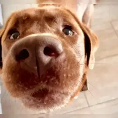 Copper