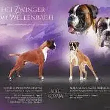 vom Wellenbach cover