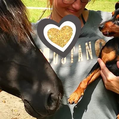 Lowermillzwergpinscher 