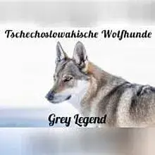 Grey Legend cover