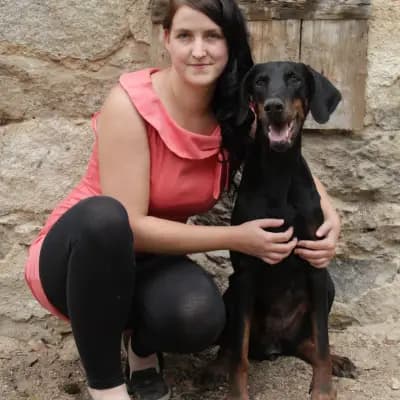 Dobermannzwinger vom Ostblock