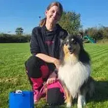 von der grauen Stadt am Meer cover