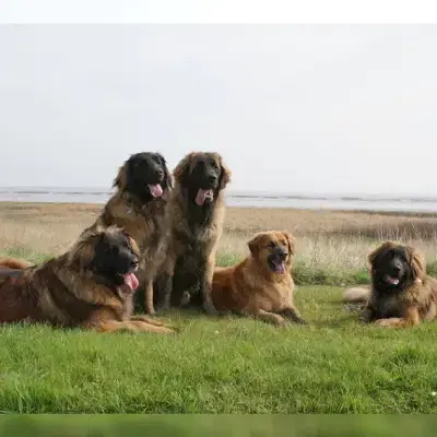 von der Abtsküche cover