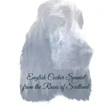 from the Roses of Scotland cover