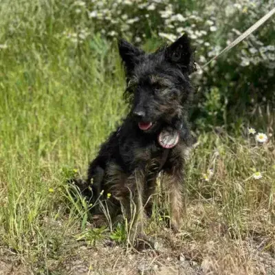 Wilma