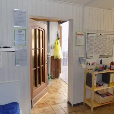 Bild aus Hundezucht vom Bagno in Nordrhein-Westfalen, wo unsere Prager Rattler-Hunde in einer liebevollen Umgebung aufwachsen.