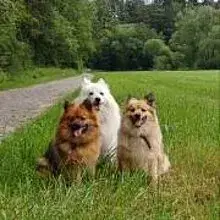 von Jaluk Aurora cover