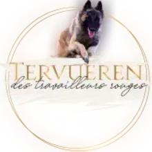 des travailleurs rouges cover