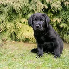 of Summer Hope cover