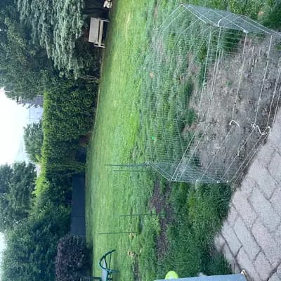 Bild aus Maltiboo vom Niederrhein  in Nordrhein-Westfalen, wo unsere Malteser-Hunde in einer liebevollen Umgebung aufwachsen.
