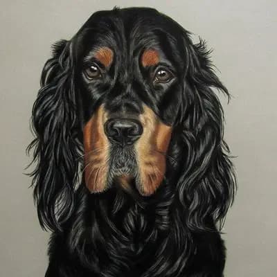 Galerie-Bild von Black Devil´s in Bayern, mit Eindrücken unserer Gordon Setter-Zucht.