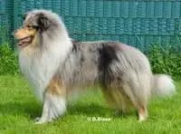 Gudrun