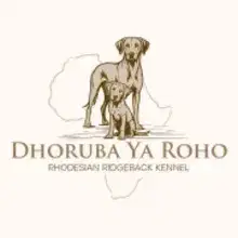 Dhoruba ya roho cover