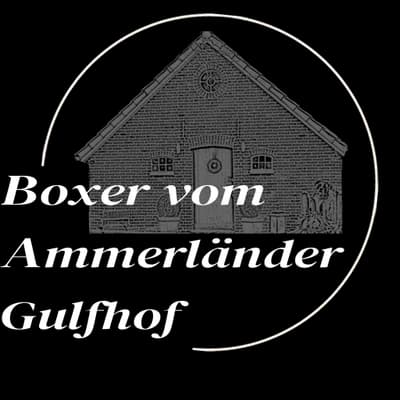 Bella – Deutscher Boxer Welpe, Niedersachsen, Grootgebracht door vom Ammerländer Gulfhof 