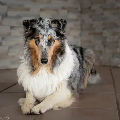 Haze image