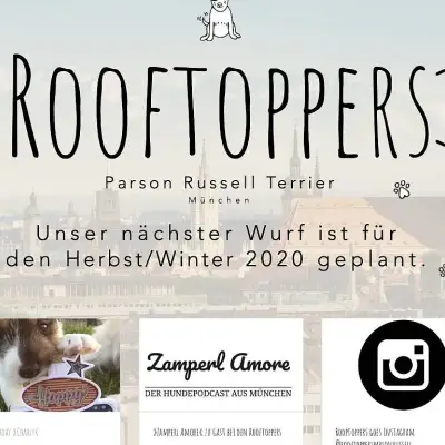 Rooftoppers cover