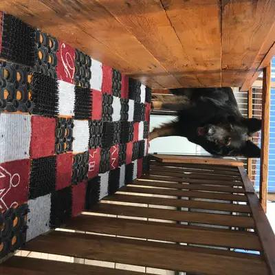 Bild aus Zuchtstätte Dt. Schäferhunde "of Wolfcubs" in Saarland, wo unsere Deutscher Schäferhund-Hunde in einer liebevollen Umgebung aufwachsen.