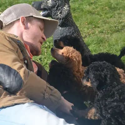 Bild aus Fantastic Phantoms in Rheinland-Pfalz, wo unsere Pudel-Hunde in einer liebevollen Umgebung aufwachsen.