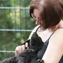 of Conventgarden cover