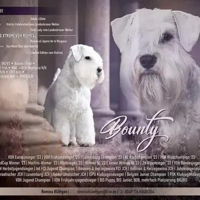 Bounty