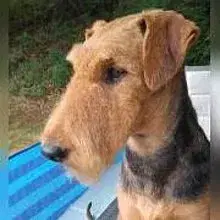 vom Crinitztal cover