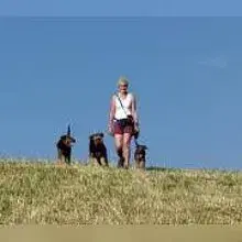 von Elly’s garden cover