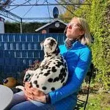 Dotdog’s cover