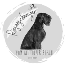 vom Hiltroper Busch cover