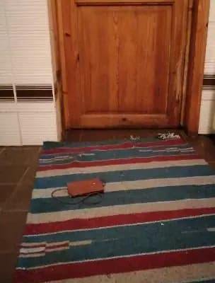 Bild aus The Bushwalker  in Niedersachsen, wo unsere Chinese Crested Dog-Hunde in einer liebevollen Umgebung aufwachsen.