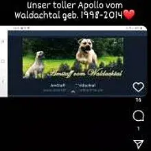 vom Waldachtal cover