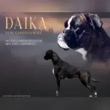 von der Goldmarie cover