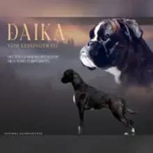 von der Goldmarie cover