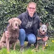 Lucky Dogs van Wolzenburg cover