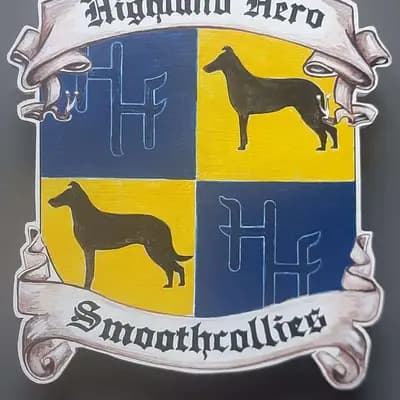 Titelbild von Highland -Hero  in Saarland, Heimat unserer Collie (Kurzhaar)-Zucht.