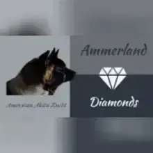 Ammerland Diamonds cover