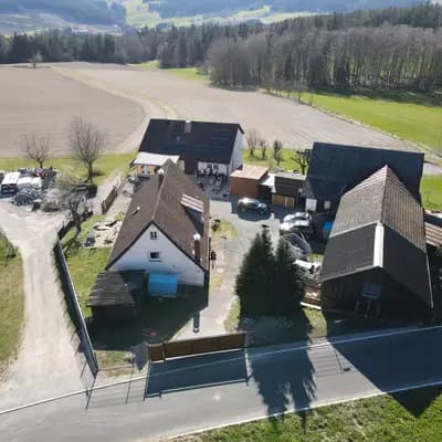 Bild aus American Schnauzer vom Pegnitztaler Land  in Bayern, wo unsere Zwergschnauzer-Hunde in einer liebevollen Umgebung aufwachsen.