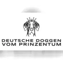 vom Prinzentum cover