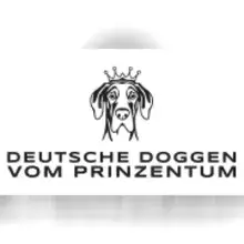 vom Prinzentum cover