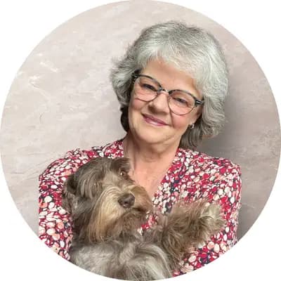 Ehrenbürg-Zwerge (American Schnauzer)